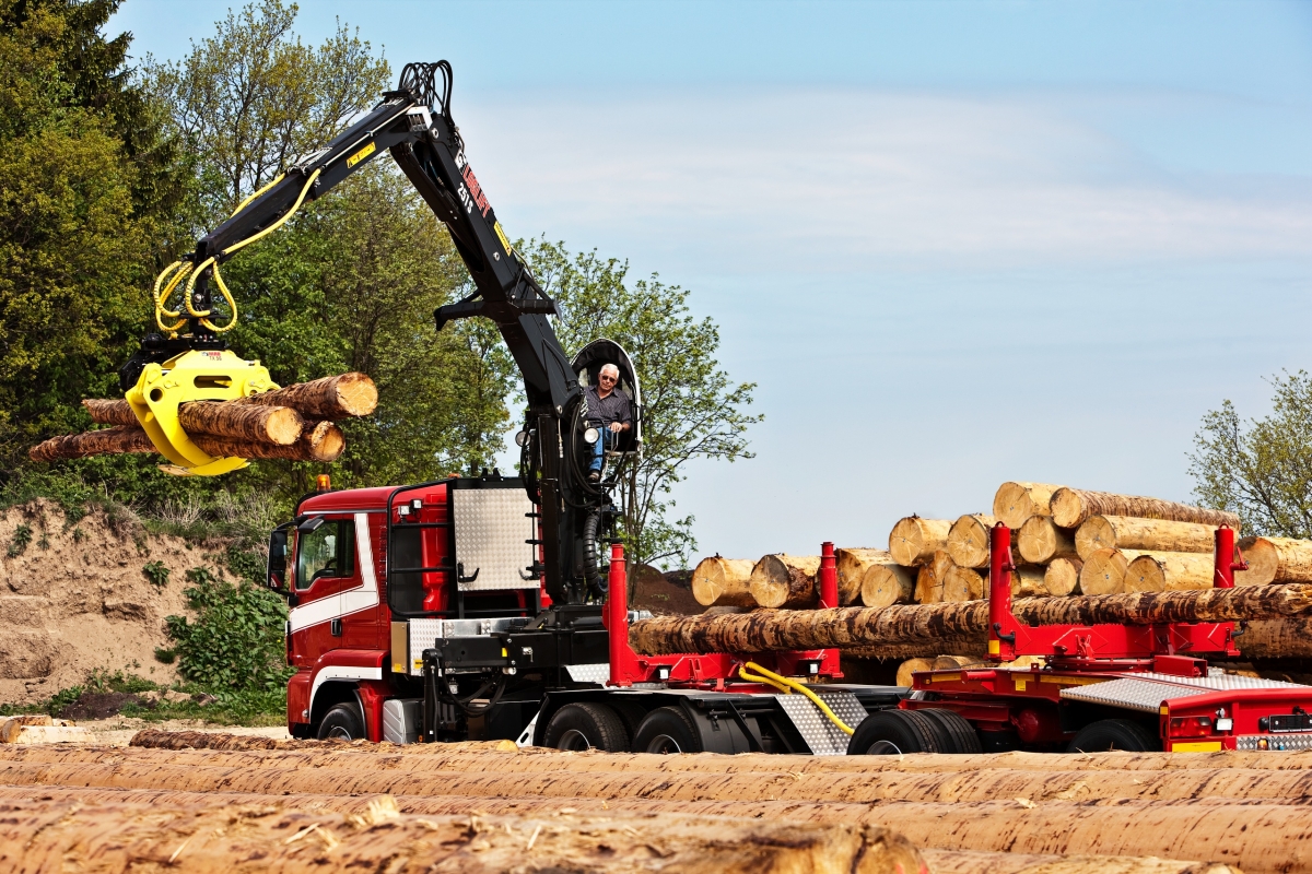 LOGLIFT 251S