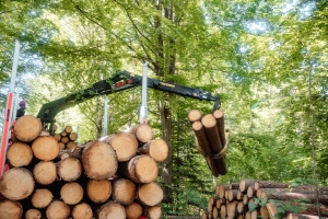 LOGLIFT 18Z
